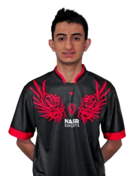 Bibu