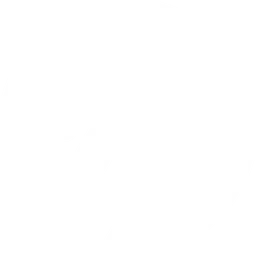 Black Dragons e-Sports