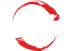 SCARZ