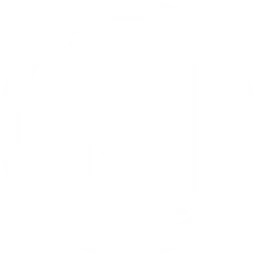 Team Envy