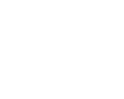 Spirit Academy