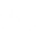 ZETA DIVISION