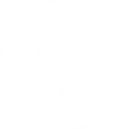 ZETA DIVISION