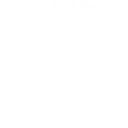 Insilio