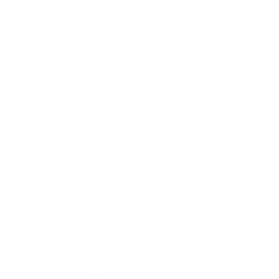 Insilio
