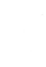 Todak