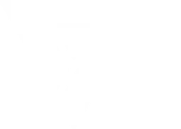 Valiant