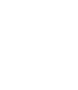 Spirit fe