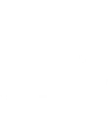 Spirit fe