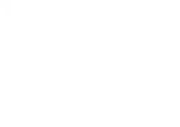 VALIANT GC