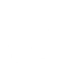 Rival Esports