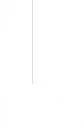 Shopify Rebellion