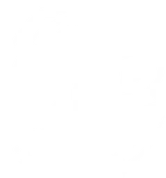 MIR