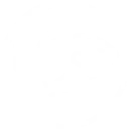fish123
