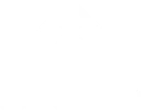 Team Orchid