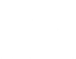 Team Orchid