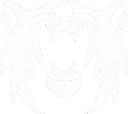 Polar Squad Esports GC