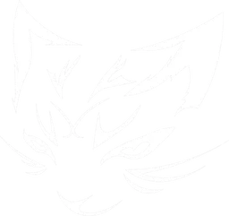 TEAM XDM