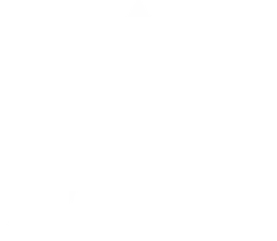 AGELITE