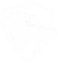Gatorian