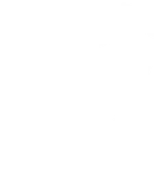 Team LEISURE