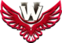 University War