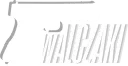 Walczaki