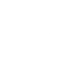 Vortex CGO