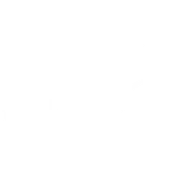 Vortex CGO