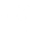 GamerZ Esports