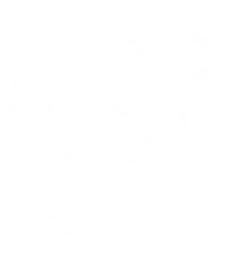 GamerZ Esports