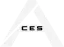 Team ACES