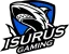 Isurus