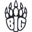 BIG Academy