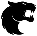 FURIA Esports