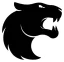 FURIA Esports
