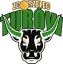 PGE Turow
