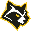Procyon Gaming