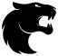 FURIA Esports