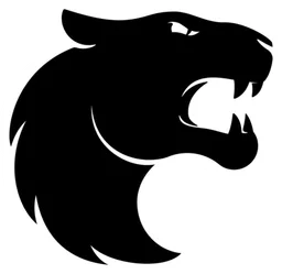 FURIA Esports