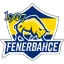 1907 Fenerbahçe Esports