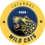 Istanbul Wildcats