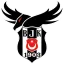 Beşiktaş Esports