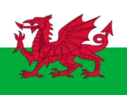 Team Wales