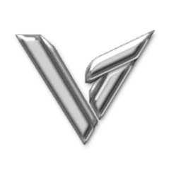 Team Valor