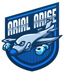 Arial Arise