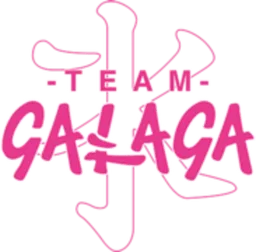 Team Galaga