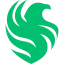 Falcons Esport
