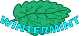 Wintermint