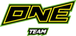 ONE Team